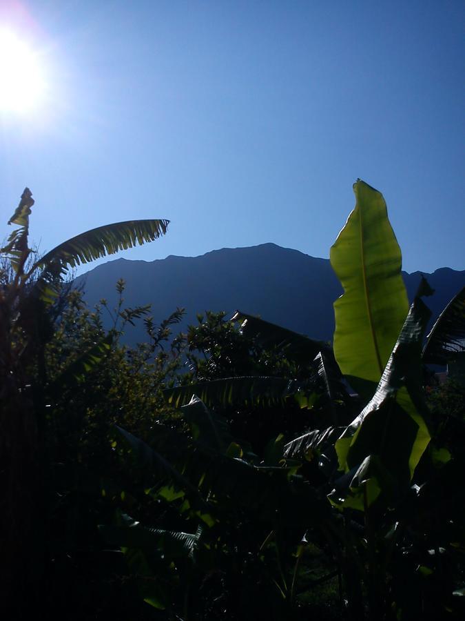 Les Chrysalides Villa Cilaos Exteriör bild